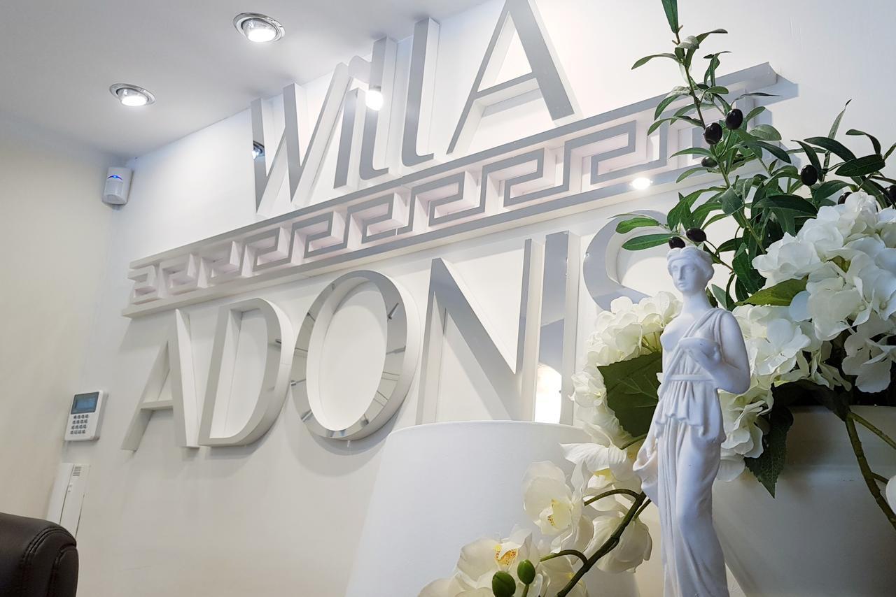 Willa Adonis ชวีโนวิชแจ ภายนอก รูปภาพ